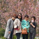 명성송이대게 이미지