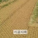 늘푸른산업 이미지