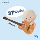 (주)천보바이오 | [37주, 38주, 39주] 만삭 막달 일상, 막달 증상, 막달 아기 무게, 태동검사비용, 임산부 튼살, 임산부...