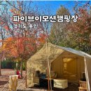 백암축사 | 용인 파이브이모션 캠핑장 시설 및 C존 C6사이트 쿠디에어텐트 설치 후기