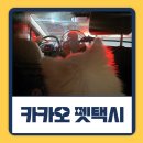 개 친절 펫택시 | 강아지 택시 카카오 펫택시 요금 가격 내돈내산 후기
