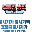 토지대장공인중개사사무소 이미지