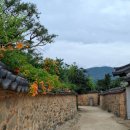 남사-13 | 어른들의 물놀이터 &lt;산청 백운동계곡&gt;&amp;&lt;남사예담촌&gt;