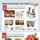 쇼핑초이스 네이버블로그