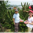 석성농장 이미지