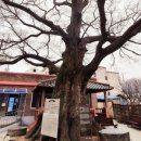 방삼(칠곡리) 이미지