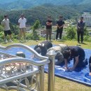 6.25참전학도병 티스토리