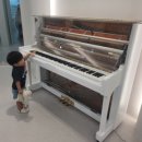 박수현피아노음악학원 이미지