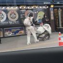 지유홈쇼핑 | 킨즈Duo웨건 9개월 아기 내돈내산 찐 사용후기 : 장단점