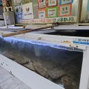 갈마동) ‘완도수산야채막회’봄철 쭈꾸미 후기