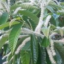 율이농장 이미지