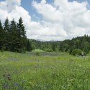 백두산화원 이미지