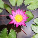 용달화물 이미지