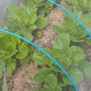 세원하우스 이미지