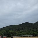 신경주대학교 승마장 네이버블로그
