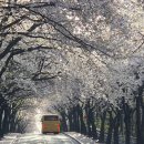 부락산 둘레길 이미지