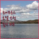 유콘 화이트호스 호텔 어디가 좋을까? 솔직 리뷰 &amp; 추천 유콘여행 화이트호스호텔 여행꿀팁