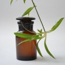 앞서가는21세기약국 이미지