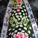 청아꽃집 이미지