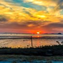 궁평펜션 이미지