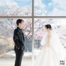 그레이스밸리 | 아이티컨벤션 그레이스홀 본식스냅 후기 | 용인본식...it밸리웨딩홀 | IT컨벤션 그레이스홀 웨딩 | 수원...
