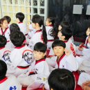 화성태권도장 이미지