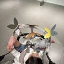 울주 피크닉 콘서트 가을 한 장 이미지