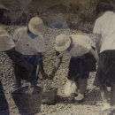 장유중학교 이미지