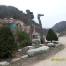 맹동농장 이미지