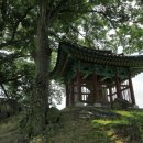 비중리 석조광배 이미지