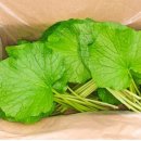 두루미 농원 이미지