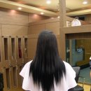 지니스헤어