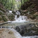 불모산 저수지 내 이미지