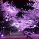 연정상사