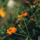 상형농장 이미지