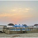 씨투아일랜드 이미지