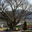 거금휴게소 이미지