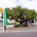 동읍농협자여지점 이미지