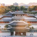행정사 김성일 사무소 네이버블로그