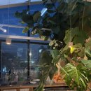 용산-이촌-496 | [카페 후기] 어반플랜트 한강대교점 | 이촌 한강뷰 브런치 카페/ 식물카페