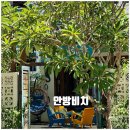 바다비치 이미지