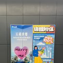 중국🇨🇳(2) 칭다오 5.4광장, 빨간 회오리감자 구경하기, 베이징올림픽요트경기장, 칭다오기념품가게...
