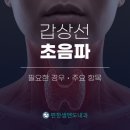 편한샘엔도내과의원 | 경안동 갑상선 초음파, 꼭 필요한 경우는?