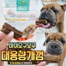 강아지개껌 덴탈츄 바이오구오구 츄가드프로미니 대용량개껌 후기
