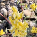 하오재캠핑장 | 다시 찾은 하오재 캠핑장