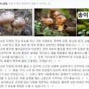 본죽 마들역점 | 본죽 러버의 자연송이쇠고기죽 일반 내돈내산 혼밥 후기 (가격, 메뉴, 맛)
