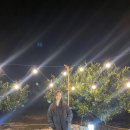 미깡낭밭 이미지