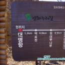 평화1길 이미지