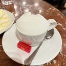 조은생각 BOOK CAFE | [비엔나 3대 카페] 카페 센트럴 Cafe central 예약, 피아노 공연 후기, 멜랑쥬 커피와 자허토르테/메뉴