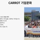 (주)캐럿글로벌